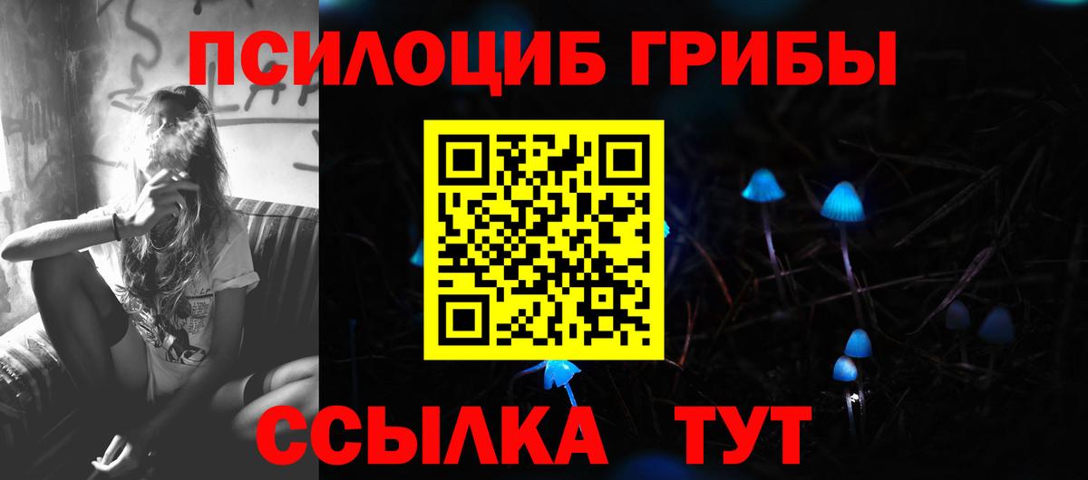 Галлюциногенные грибы мицелий  Вход с VPN  Ногинск  Галлюциногенные грибы MAGIC MUSHROOMS 